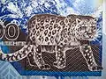 カザフスタンの10000テンゲ紙幣の裏に描かれたユキヒョウ