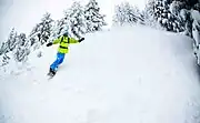 雪山でスノーボードを楽しむ人