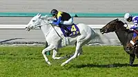 2021年優勝馬ソダシ
