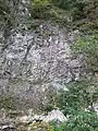 袖川立石 柱状節理