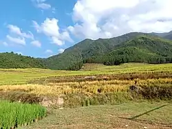 上磅嶺梯田