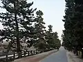 草加松原