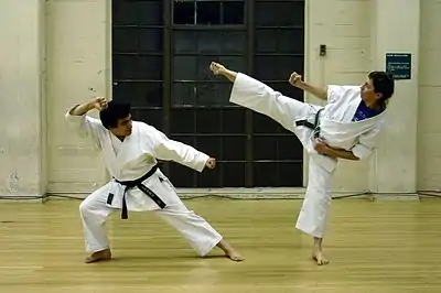 空手/約束組手:「上段横蹴り(足刀蹴り)」(右側)