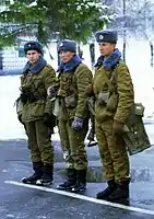 ロシア連邦軍タマンスカヤ師団、1992年