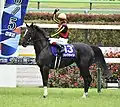 安田記念