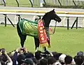安田記念