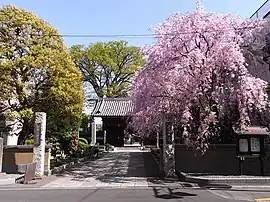 総持寺(2009年4月10日撮影)
