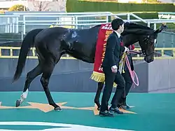 ソウルスターリング
