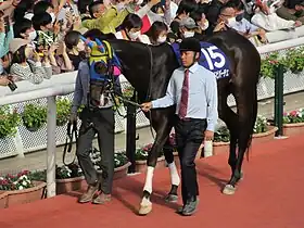 サウンドビバーチェ号