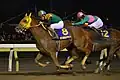 2017年優勝馬サウンドトゥルー