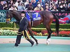 7　サウンズオブアース