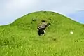 開口部