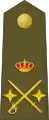 陸軍階級章