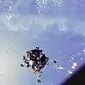 海を背景にするスパイダー