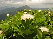 三本槍岳（福島県）