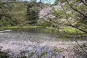 池(2018年3月)