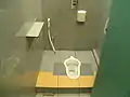 シンガポールチャンギ国際空港のしゃがみこみ式トイレの個室。東南アジアやイスラーム文化圏では、紙を使わず水で洗う後処理の方法が用いられるため、シャワーが備え付けられている。