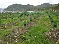 スレブレニツァ虐殺記念館