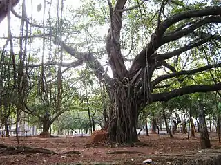 砦への入り口