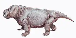 Sthalekeria potens