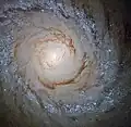 M94