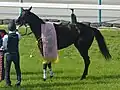 優勝レイ