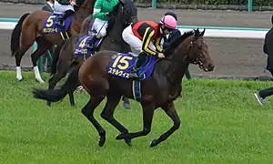 ステルヴィオ