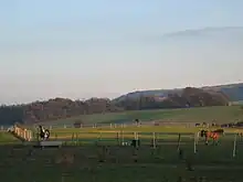 キャンパス隣の牧場