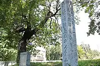 天然記念物指定の石碑。
