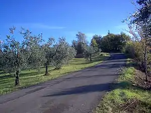 サリザーノの風景