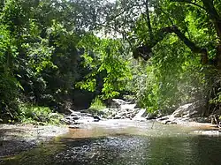 ダックグレイ県内を流れる渓流