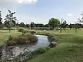 水辺