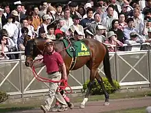 ストロングブラッド（1999年産）