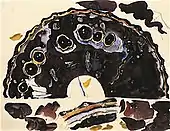 「蝶の翅の習作」(1896)
