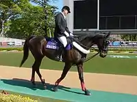 東京競馬場(サクセスブロッケン)