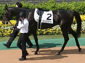 サクセスブロッケン