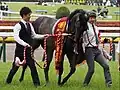 青葉賞優勝後
