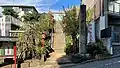 参道