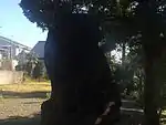 狛犬(向かって右、子供を抱いている)