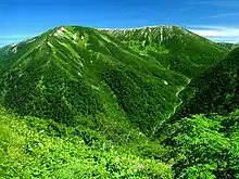 弓折岳方面(大ノマ岳)から望む双六岳、左側が双六南峰、谷部は双六谷の源頭部(2004年8月12日)