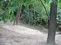 片山公園の北側