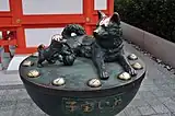 子宝いぬ（2018年2月撮影）
