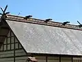 令和の大嘗祭における悠紀殿・主基殿・廻立殿の屋根は板葺きになっている（画像は主基殿の屋根）