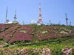 山頂付近の送信所とツツジ