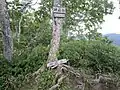 山頂