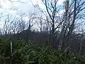 山頂と三角点