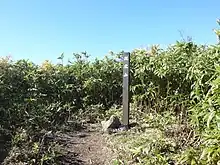 北広山山頂(2016年5月)
