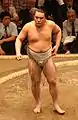 2009年5月撮影