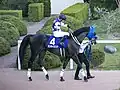 JBCクラシック