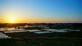 象潟